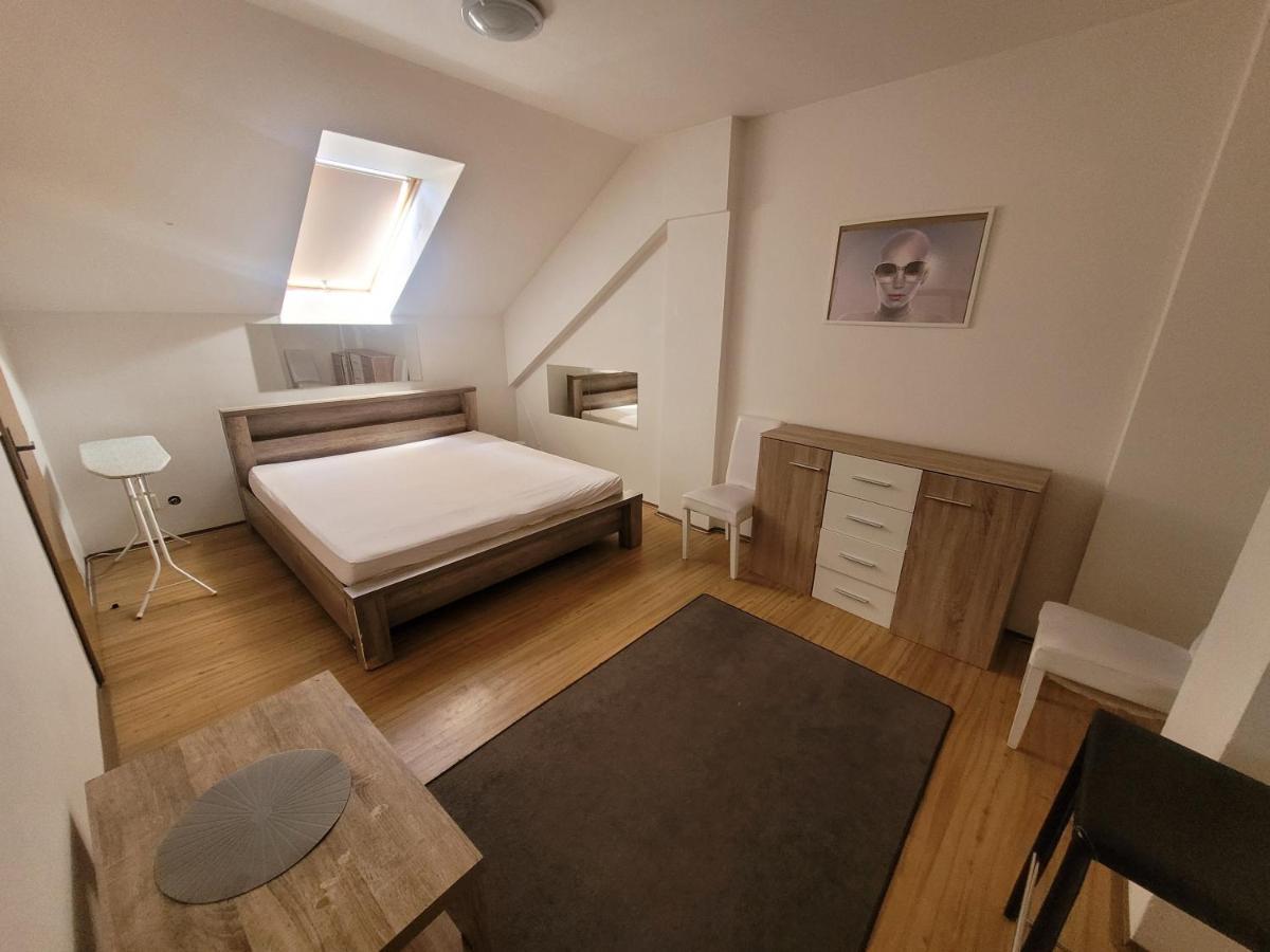 Apartament Zizkov B *