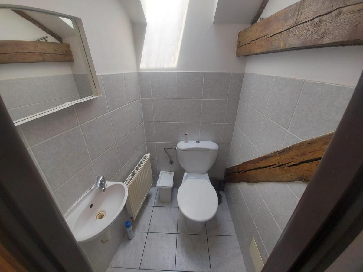 Apartament Zizkov B